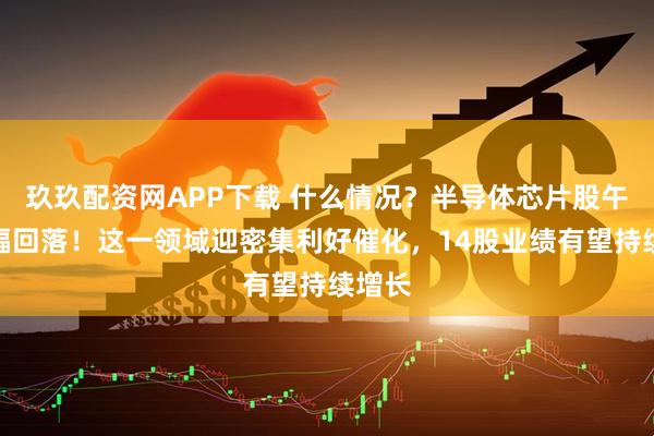 玖玖配资网APP下载 什么情况?半导体芯片股午后大幅回落!这一领域迎密集利好催化,14股业绩有望持续增长