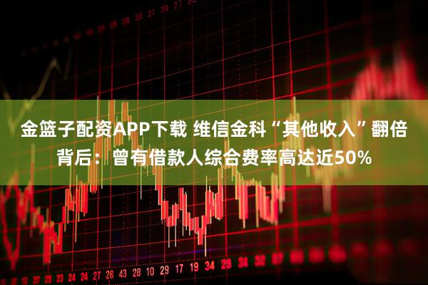 金篮子配资APP下载 维信金科“其他收入”翻倍背后：曾有借款人综合费率高达近50%