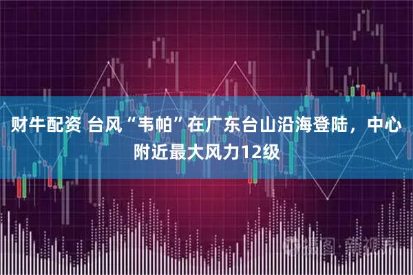 财牛配资 台风“韦帕”在广东台山沿海登陆，中心附近最大风力12级