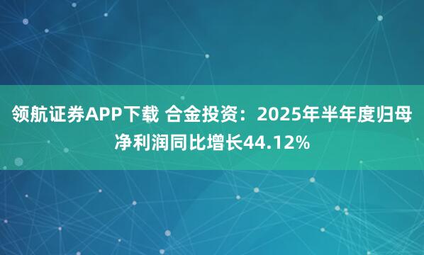 领航证券APP下载 合金投资：2025年半年度归母净利润同比增长44.12%
