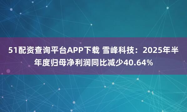 51配资查询平台APP下载 雪峰科技：2025年半年度归母净利润同比减少40.64%
